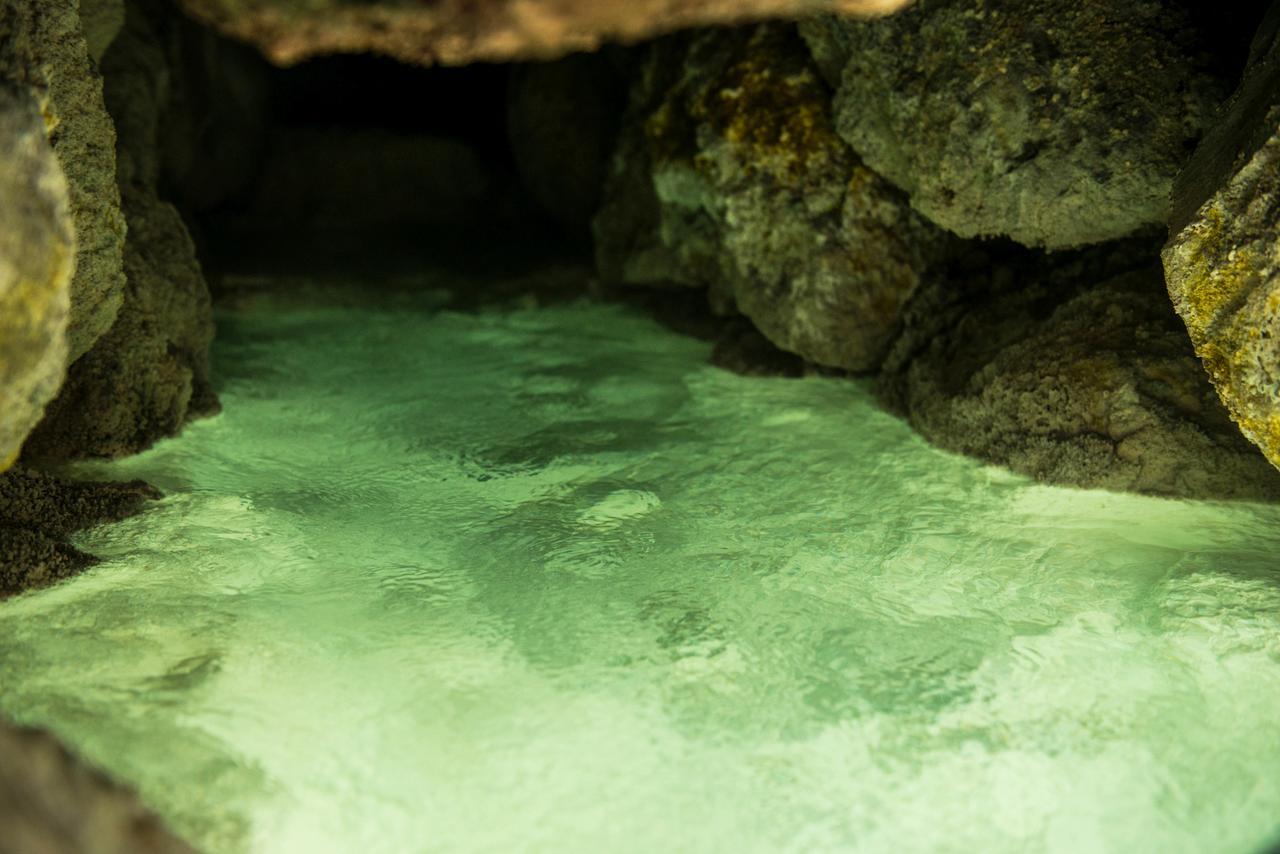 Takamiya Ryokan Miyamaso Jamagata Exteriér fotografie